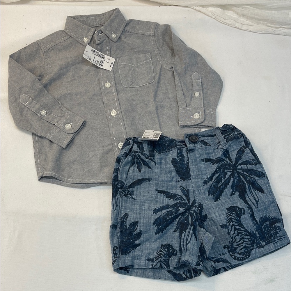 Boys Grey Button-Down Shirt with Blue Palm Print Shorts size 18 mos